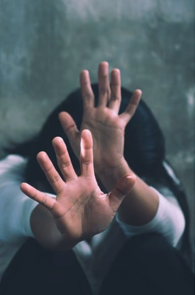Domestic Violence Domestic Violence
