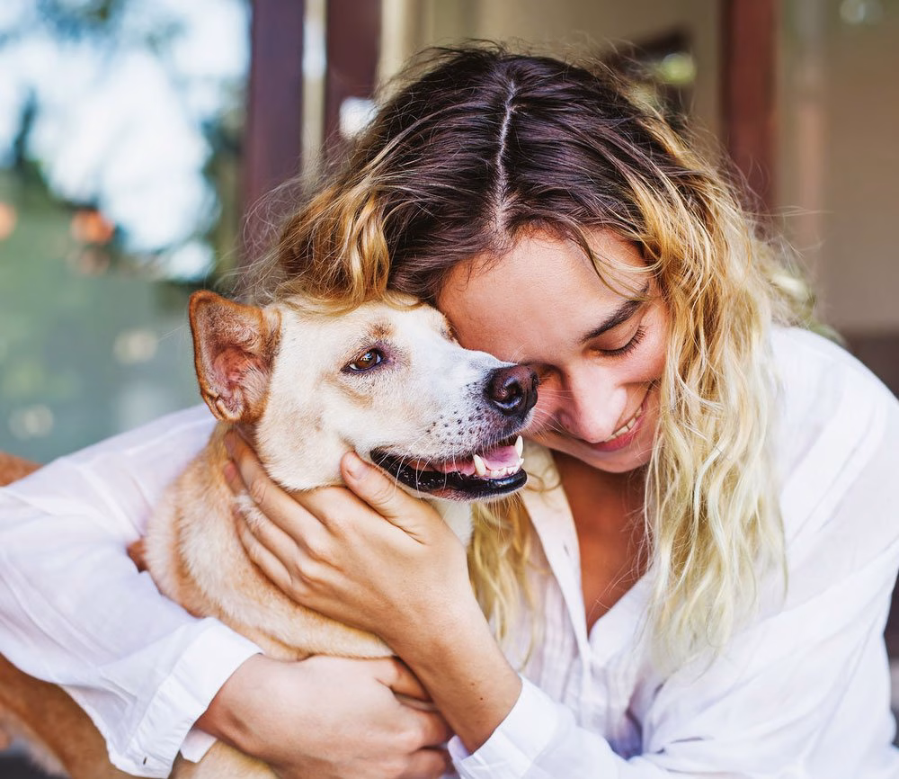 Pet Custody In Australia - pet custody in divorce - Pet Custody in Divorce: Best Legal Guide in Australia (2025)