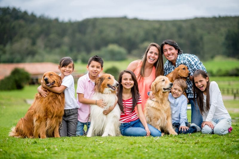 Family Law Changes in Australia from may 2024 - Family Law Changes May 2024 - Family Law Changes May 2024: Vital Shifts Impacting You