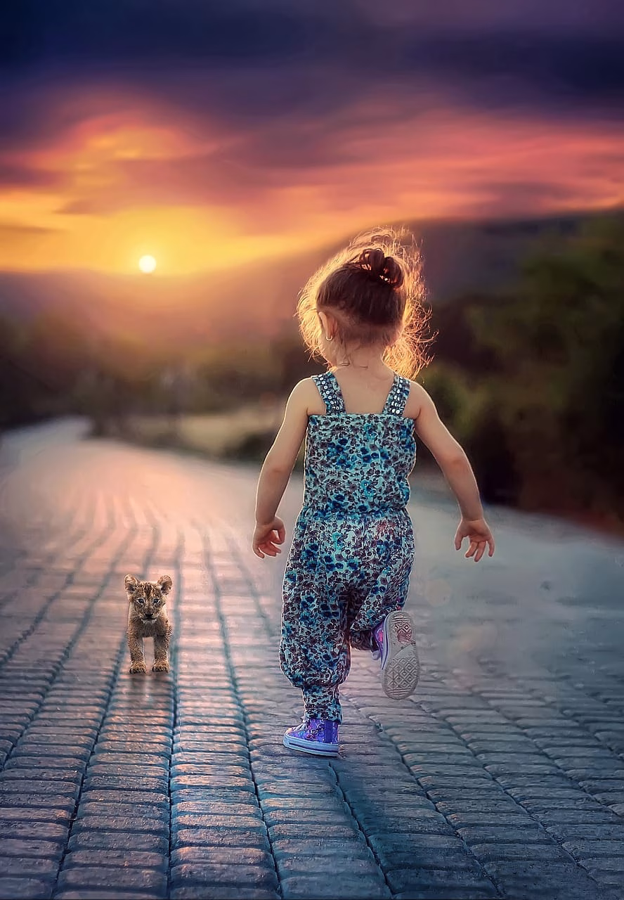 Child Support Calculator Australia Child Support Calculator Australia